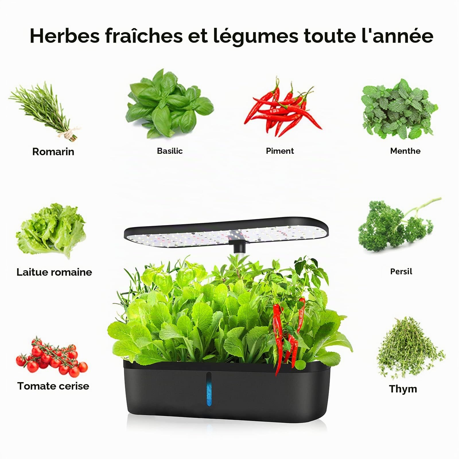 RoseFlower Système De Culture Hydroponique d'intérieur à 12 dosettes, Mini Serre Interieur avec Hauteur Réglable LED Grow Light, Potager Interieur, Station de Culture de Plantes - Noir