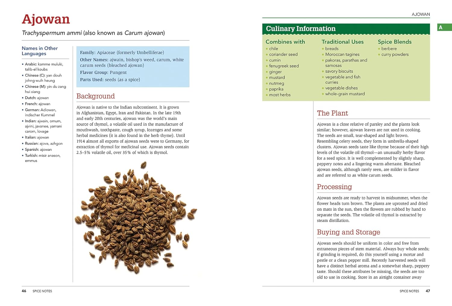 The Spice and Herb Bible - Image 3
