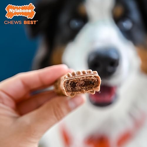 Miniatura 3 de Nylabone Healthy Edibles Meaty Center - Golosinas naturales para perros, con ingredientes limitados para perros medianos, sabor a carne, mediano (2