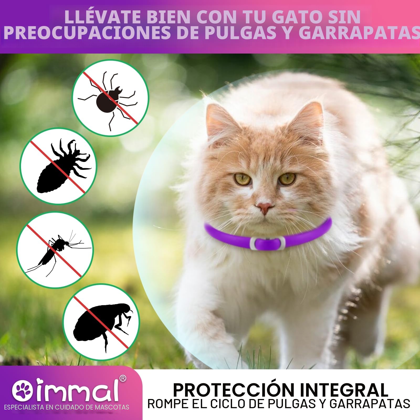 Flea and Tick Collar for Cats, Anti-Parasitic Collar Protection for 24 Months, 4 pcs Cat Flea Treatment Collar 48 cm- Waterproof and Adjustable