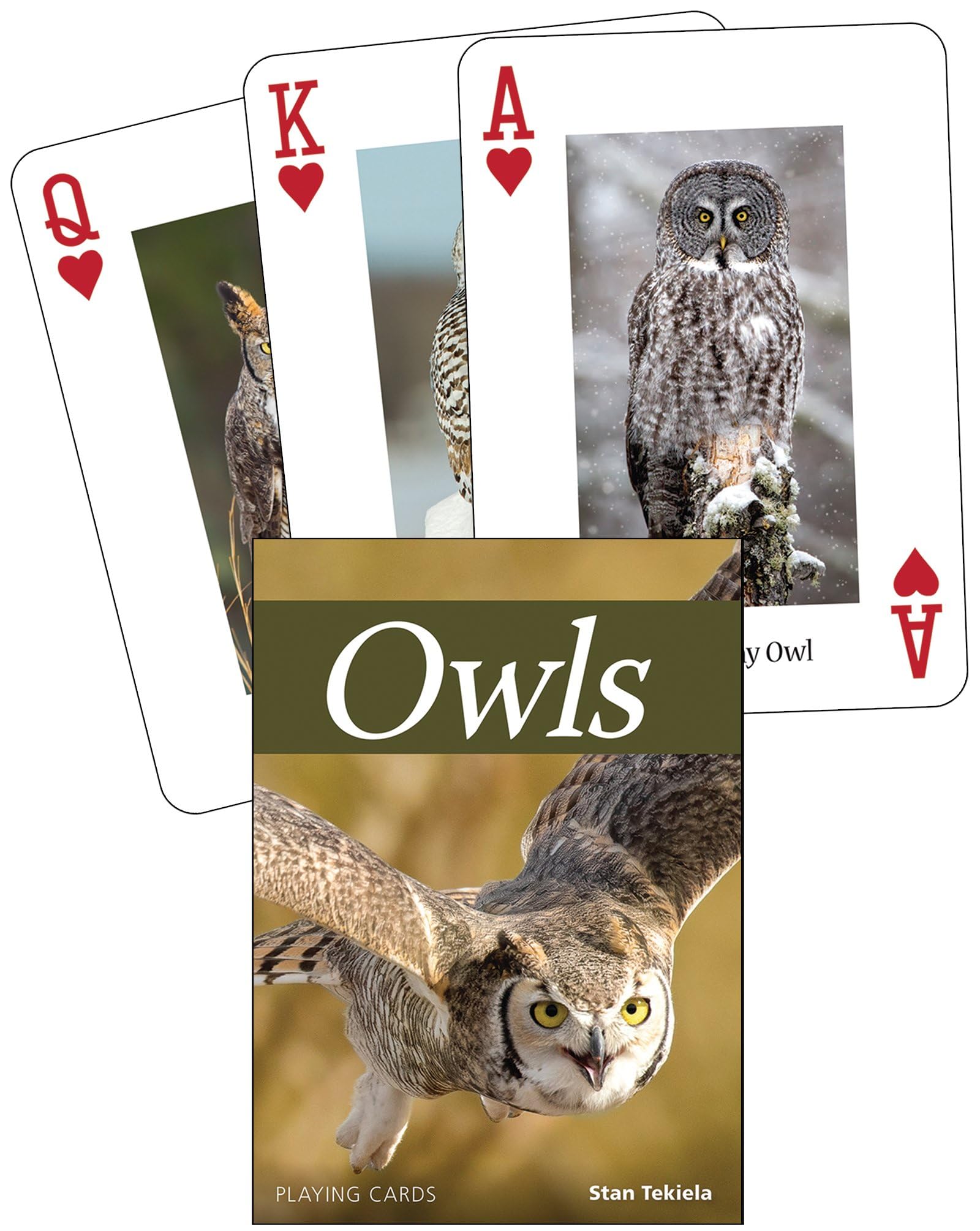Nature's Wild Cards Playing Cards – Owls Playing Cards – with 15 North American Owl Photographs