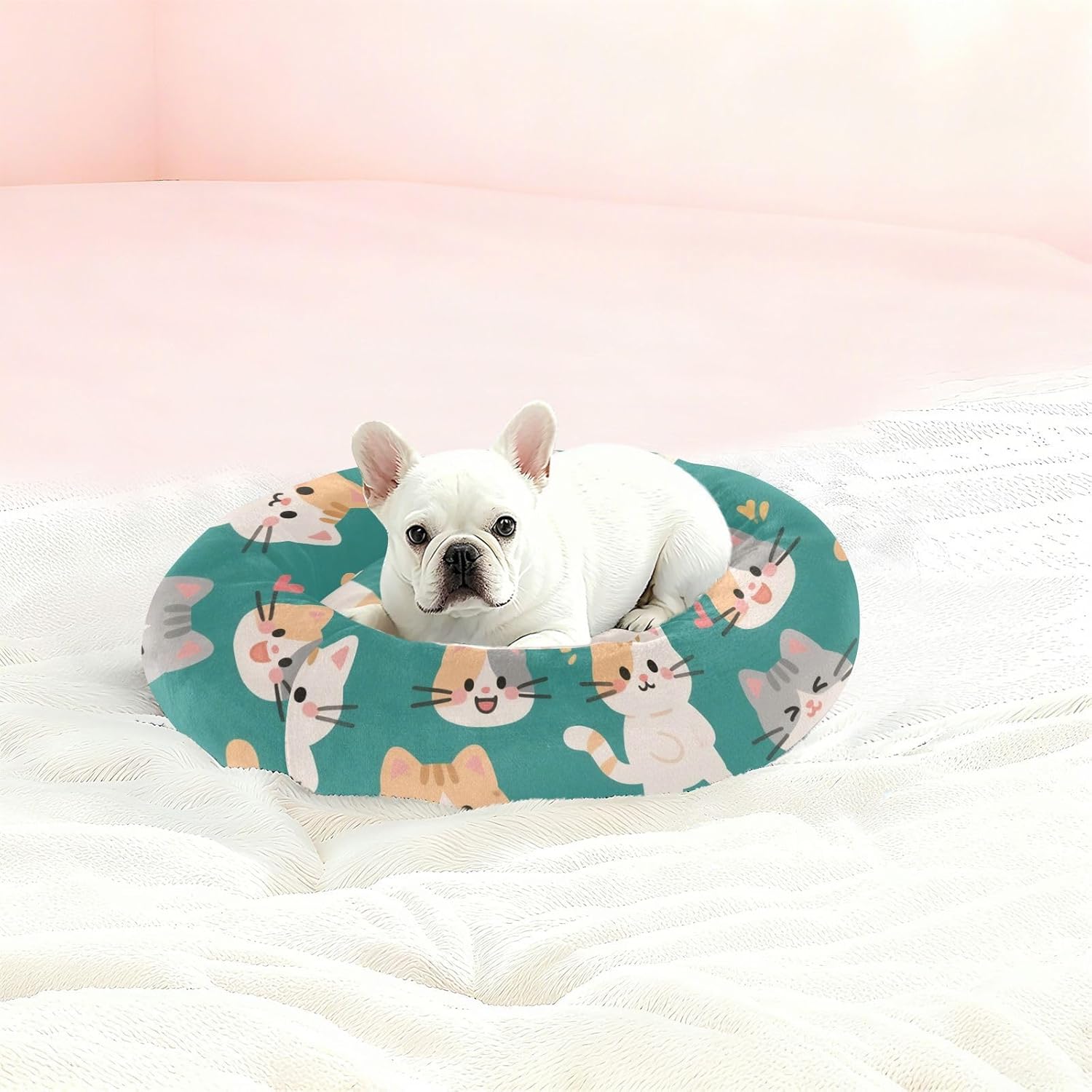 Cartoon Cat Bed Cool Colorful Warm Soft Pet Bed Pillow for Small Size Dogs