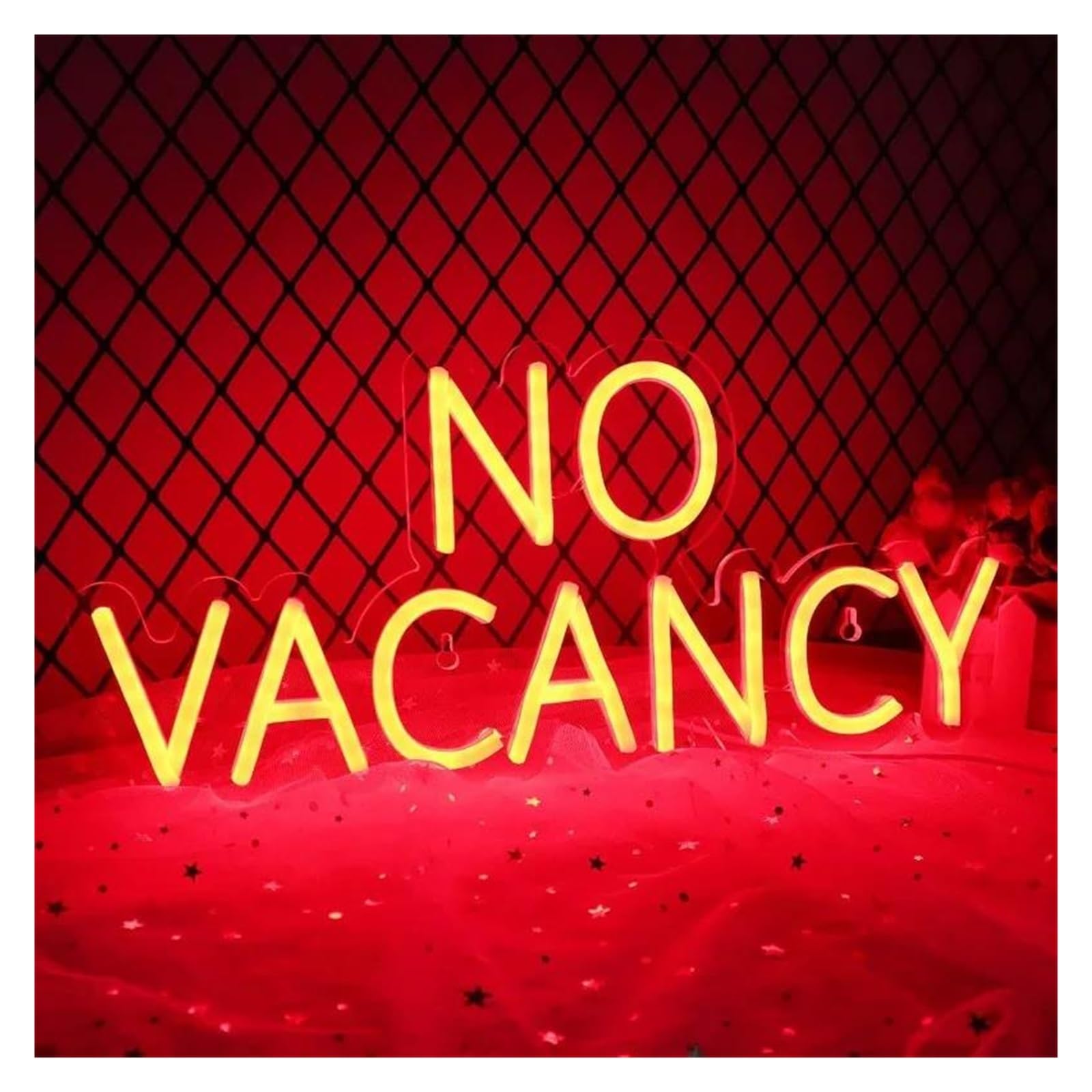 XENITE Hanging Art Neon Signs NO Vacancy Neon Sign for Wall Decoration Night Light Suitable for Hotel Party Home for Loved Ones USB Dimmer Switch