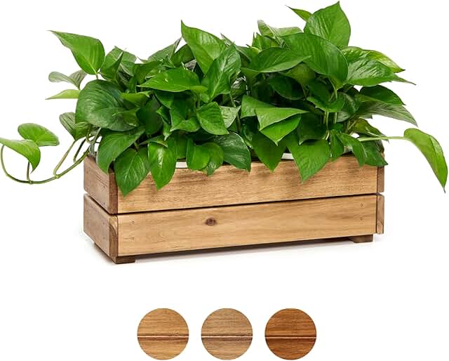 Wooden Planter Box, Storage Box 17”L x6”W x5.5”H with Crate Style, Acaci...