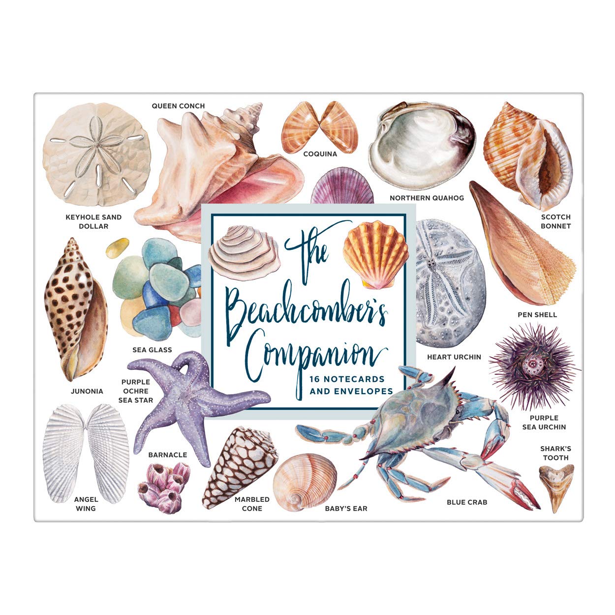 The Beachcomber's Companion Greeting Assortment Notecards