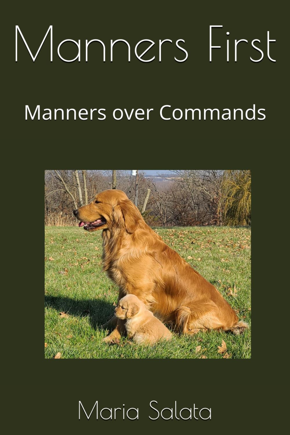 Manners First: Manners over Commands