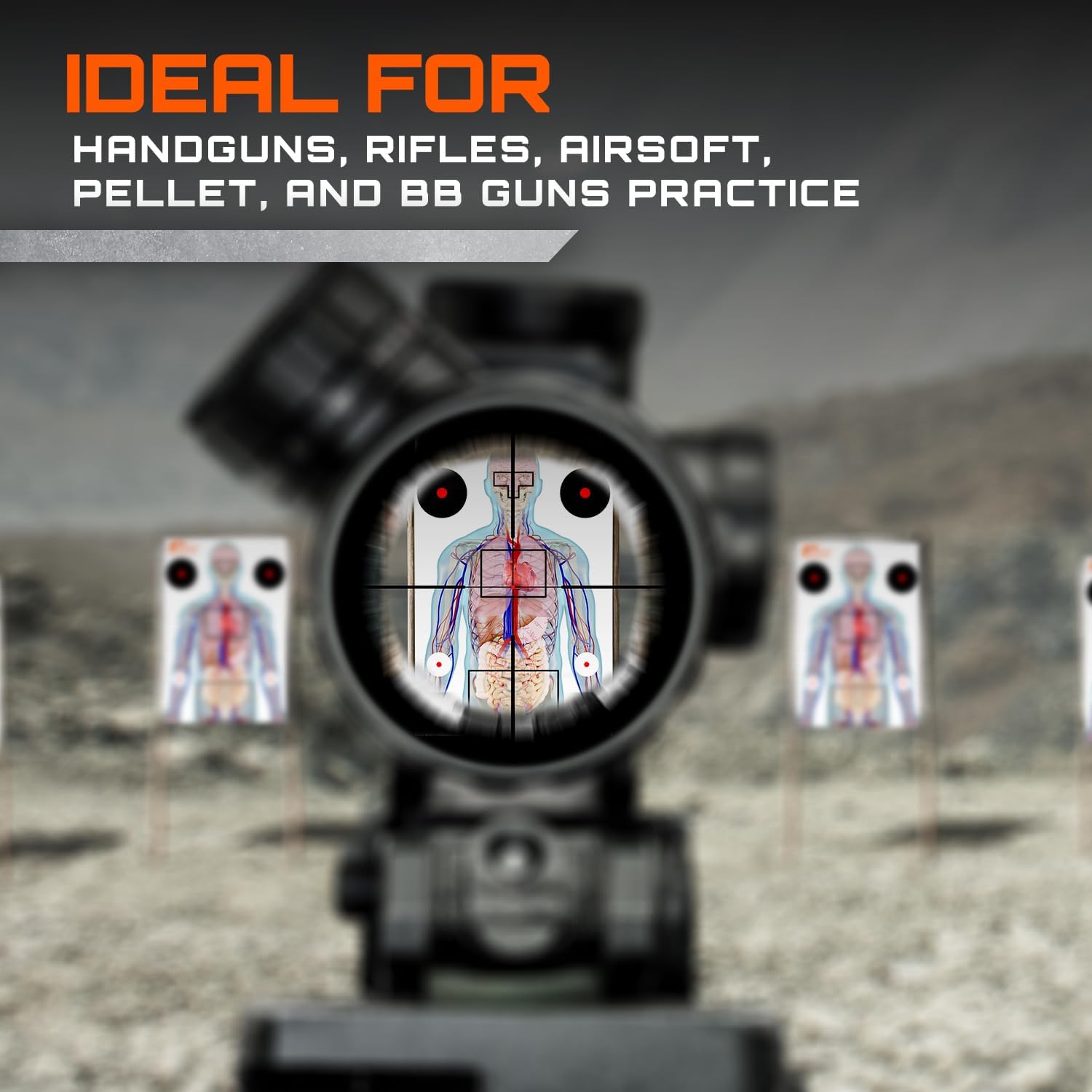 GunZee Anatomical Shooting Targets, Paper Anatomy Targets for Shooting Range, Ideal for Handgun, Airsoft Pistol, Rifle, BB Gun, Pellet Gun Practice, Tactical & Self-Defense Training