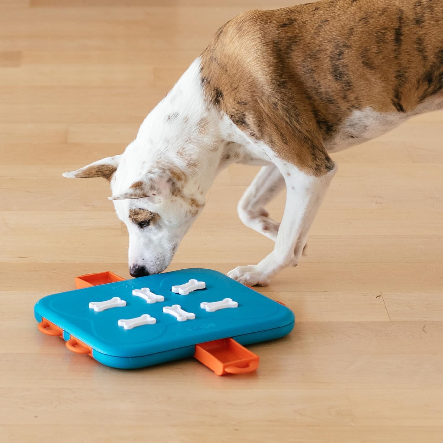 Pet Supplies : Outward Hound by Nina Ottosson Dog Casino Treat