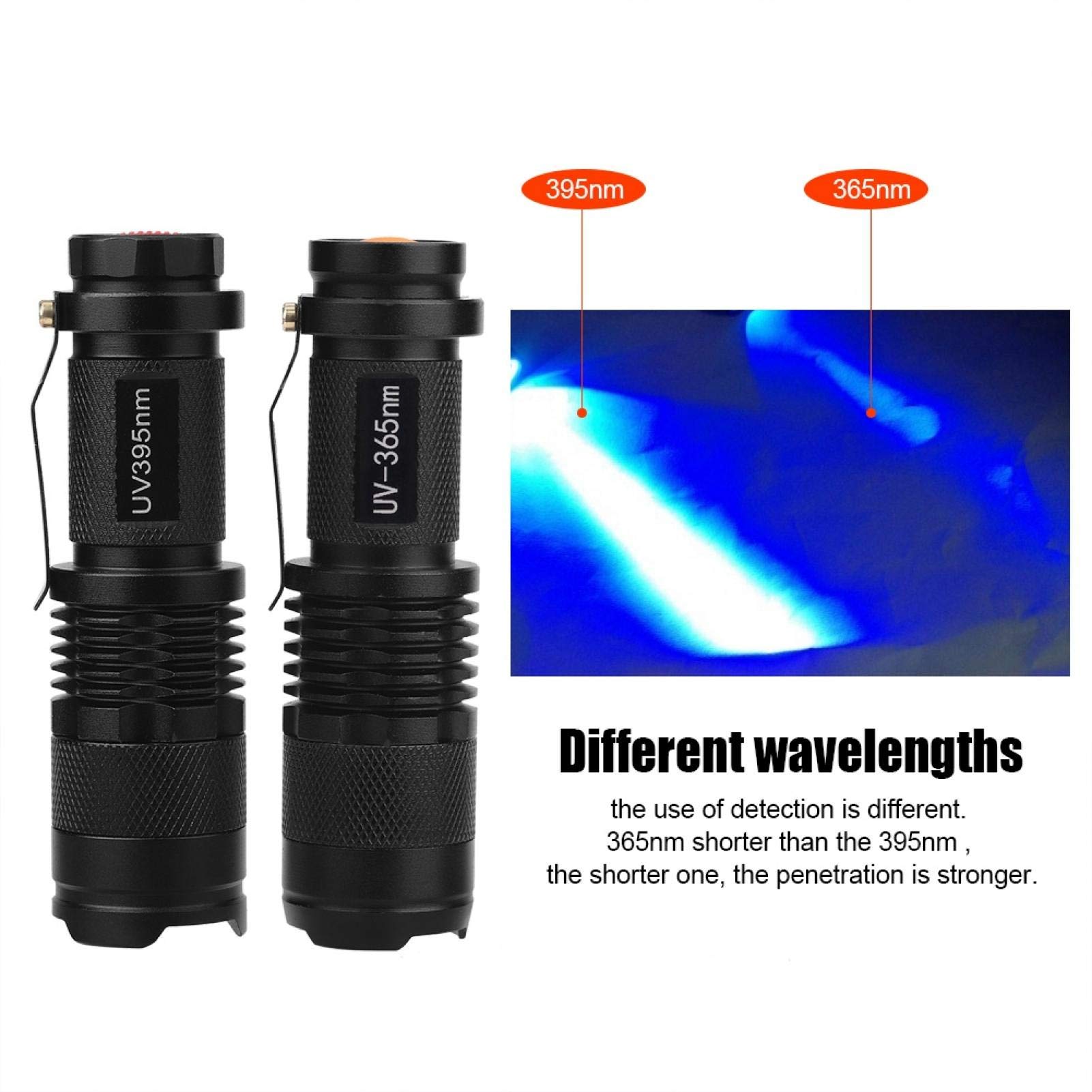 Torcia ultravioletta ricaricabile USB 365nm Lampada per rilevamento funghi muschio di gatto luce UV fluorescente a specchio nero  39