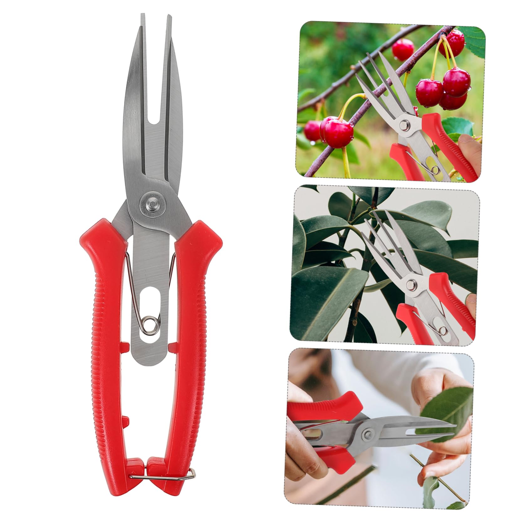 TOYANDONA 5 Stück Gartenpflege Ergonomische Gartenschneider für Präzises von Pflanzen für Gartenarbeit Hochwertige Pflanzenschneider für Effektives Trimmen