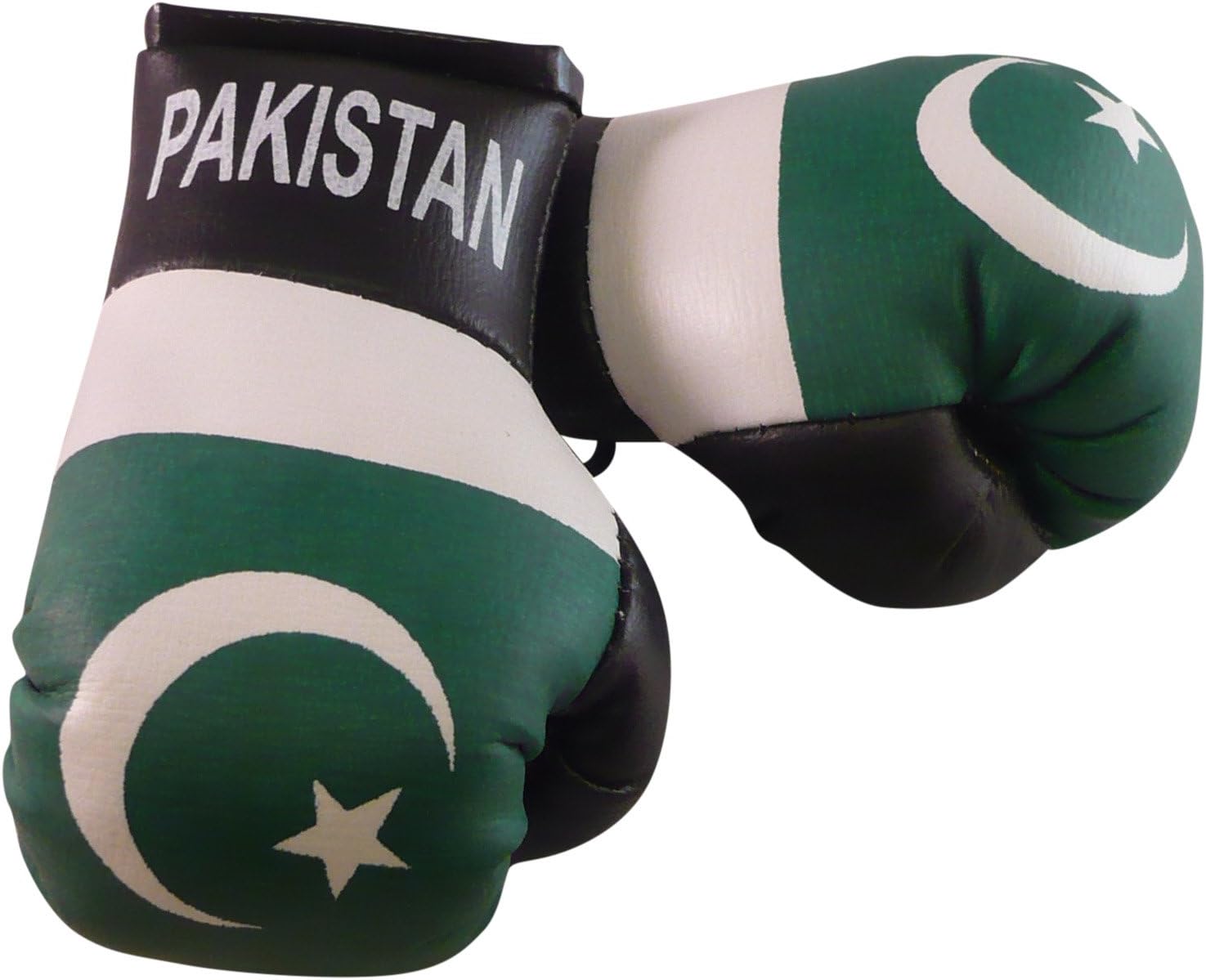 CRAZY LIZARD PAKISTAN MINI BOXING GLOVES