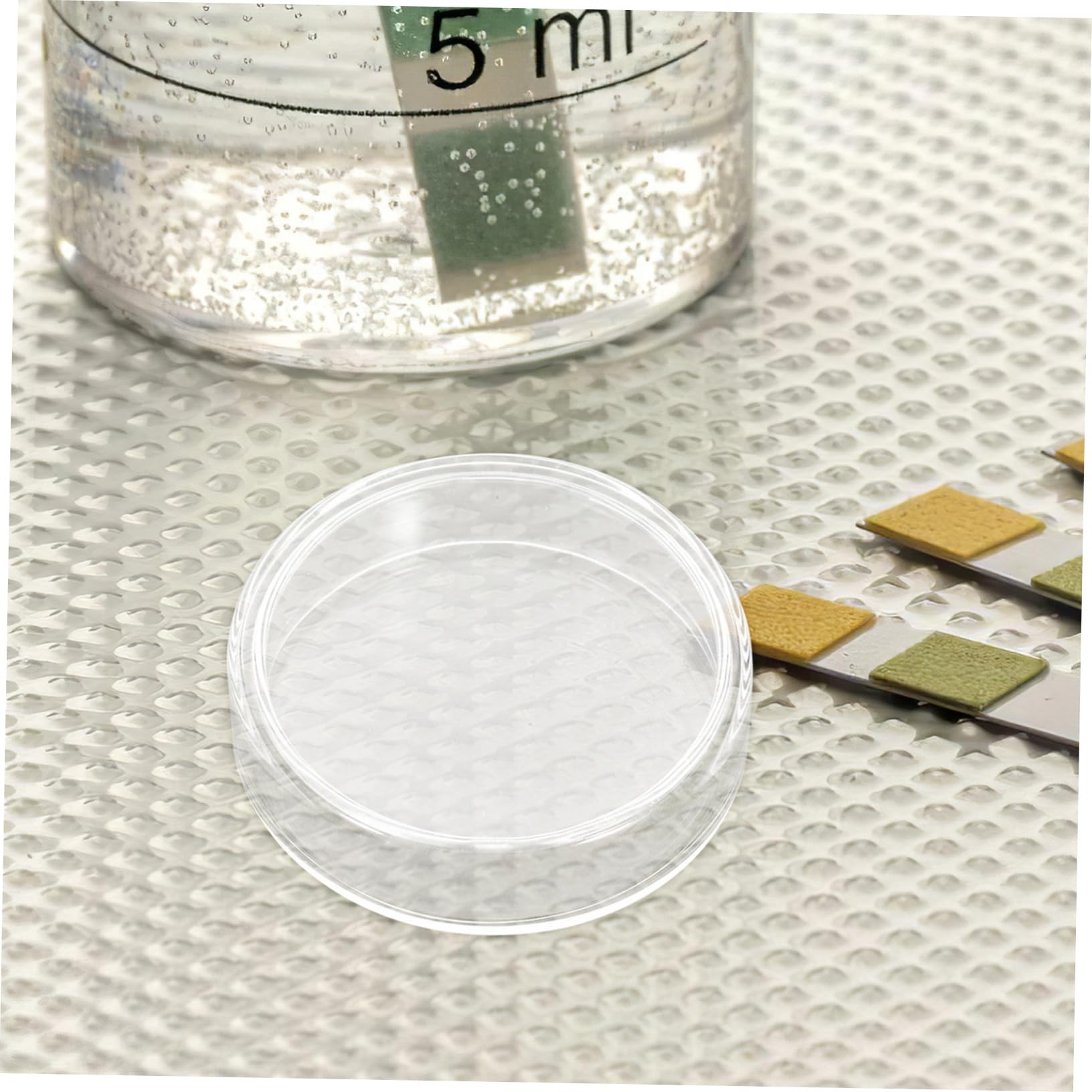 TOPBATHY 10piezas Placas de Petri de Vidrio con Tapas para Cultivo Celular Experimentos Microbiológicos Laboratorio Accesorios de Ciencia