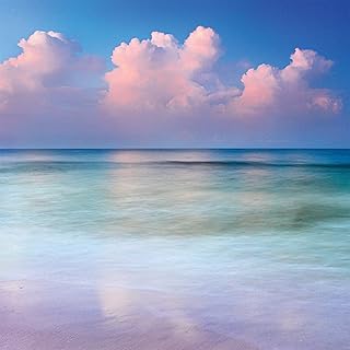 Buffalo Games - Pastel Sunrise - 300 Large Piece Jigsaw Puzzle for Adults Challenging Puzzle Perfect for Game Nights - 300 Large Piece Finished Puzzle Size is 18.00 x 18.00