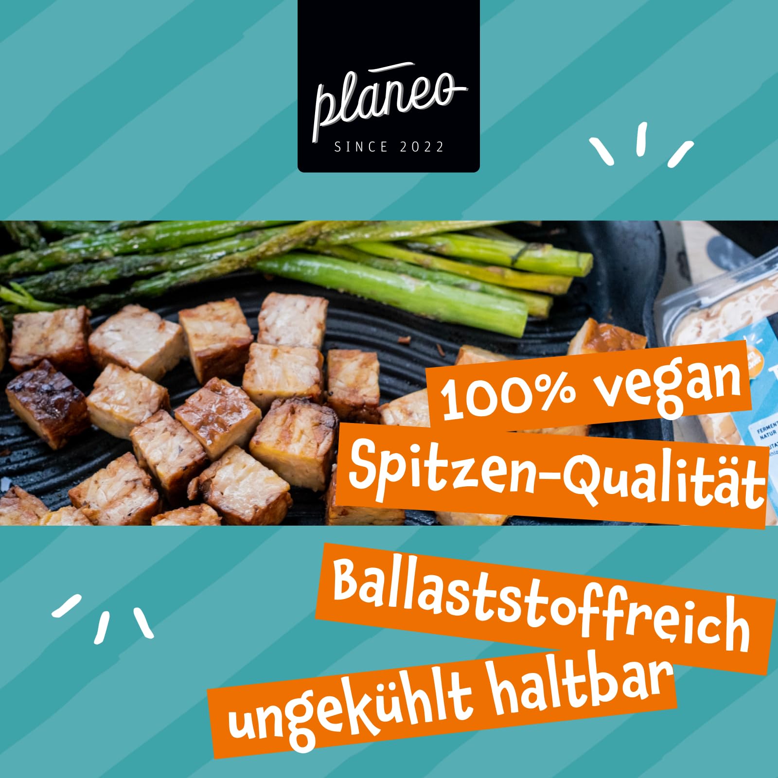 Planeo Tempeh Natur 6x200g - Beste Qualität - Lange, ungekühlt haltbar - Soja aus der EU - Planeo (6 x 200g)