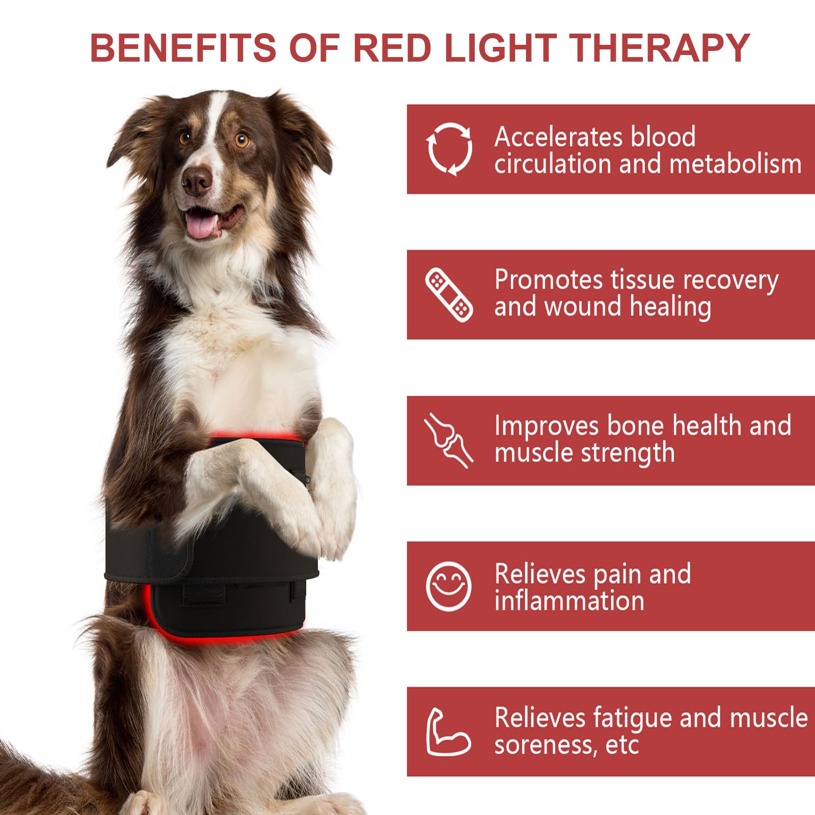 iKeener Cold Laser Therapy Device for Dogs and Humans,Red Light Therapy