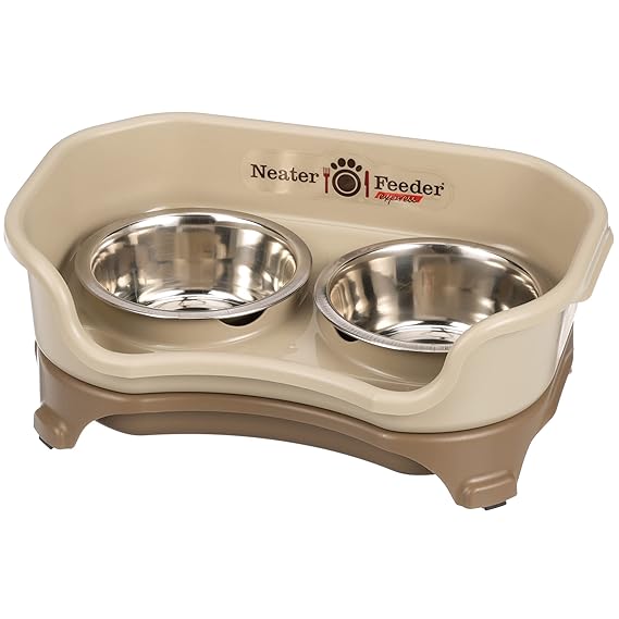 Express Mess Proof Pet Bowl