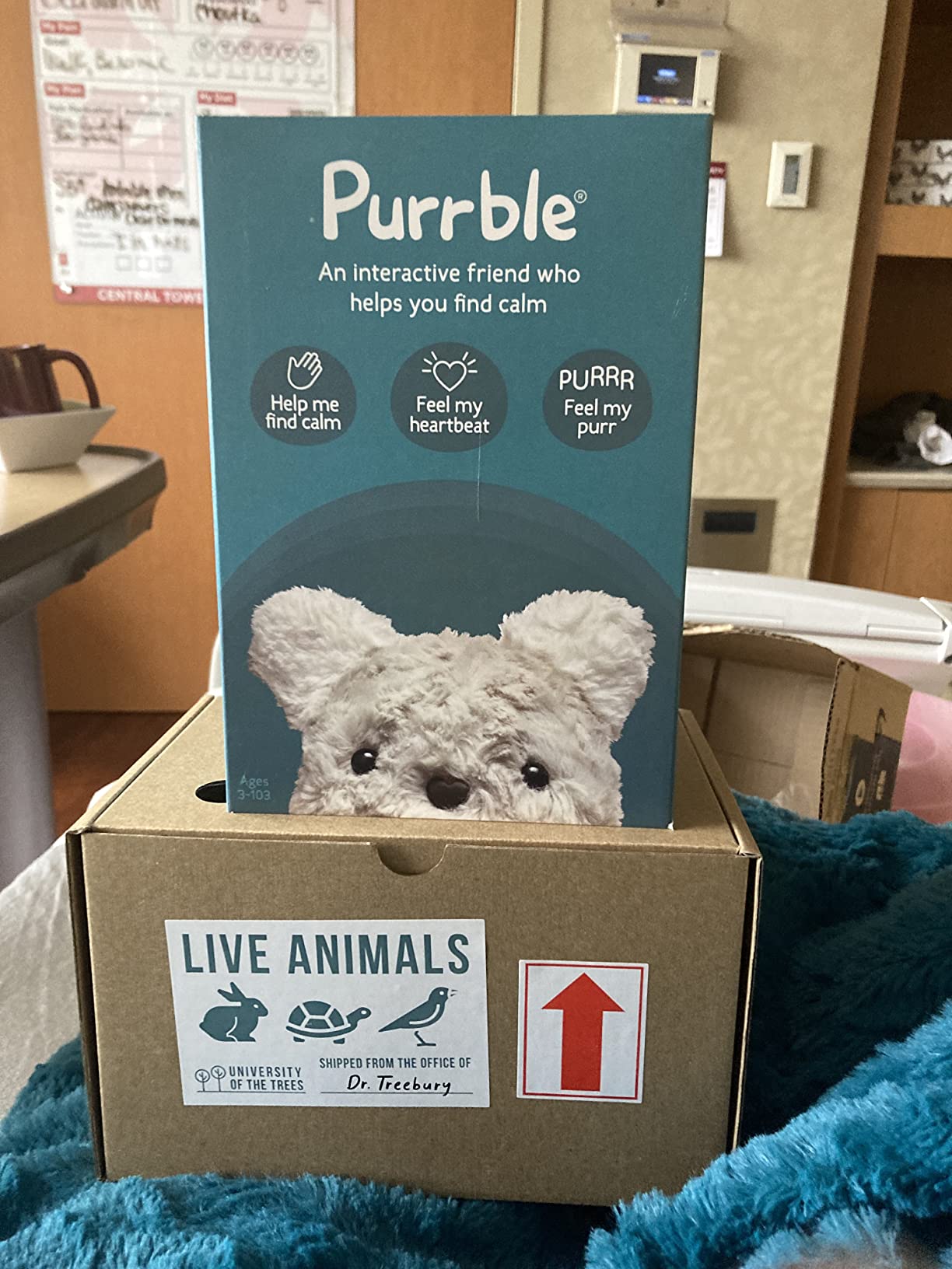 11/mo Finance Purrble Calming Toy Companion with Dynamic Heartbeat and Soothing Purr