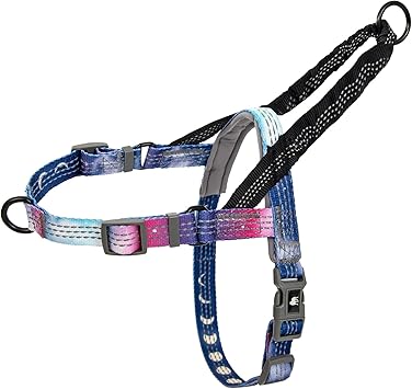 Leash Boss No Pull Dog Harness, Easy Walk for Small, Medium, and Large Pets, Reflective with Rear and Front Clip Attachment Space Pattern, Medium