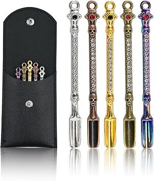 5 PC Mini Metal Shovel Spoons,Tiny Spoon for Spice with PU Pouc Skeleton