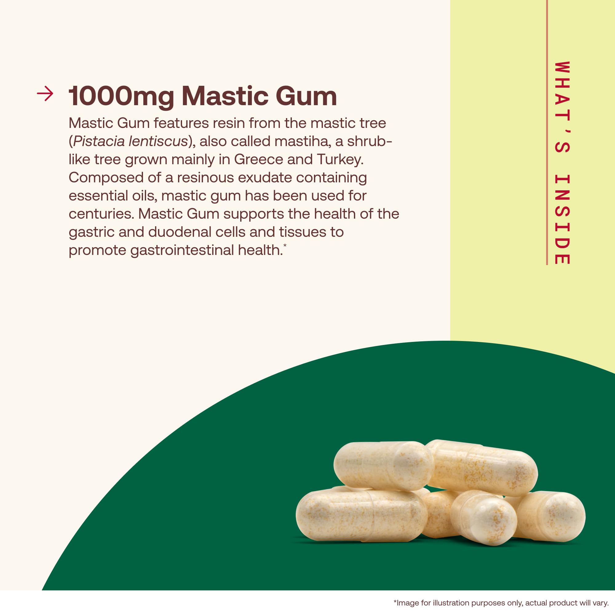 Jarrow Mastic Gum 1000mg, Supporting Stomach & Duodenal Health, 60 Capsules — Amazon image 3