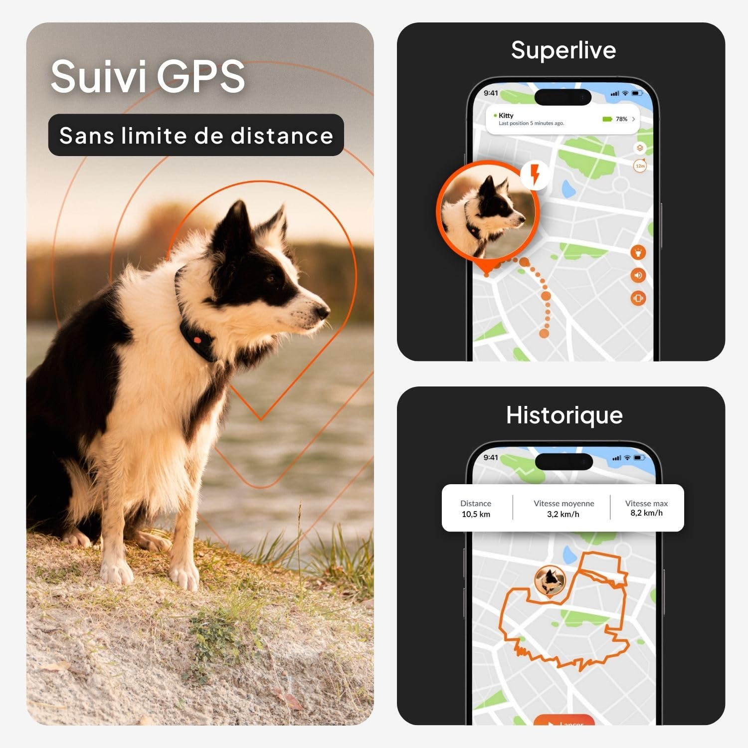 Weenect Chien XT - Traceur GPS pour Chien sans Collier | Étanche | Antenne XL | Portée Illimitée | Garantie à Vie | Abonnement Requis