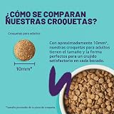 Ver la foto 3