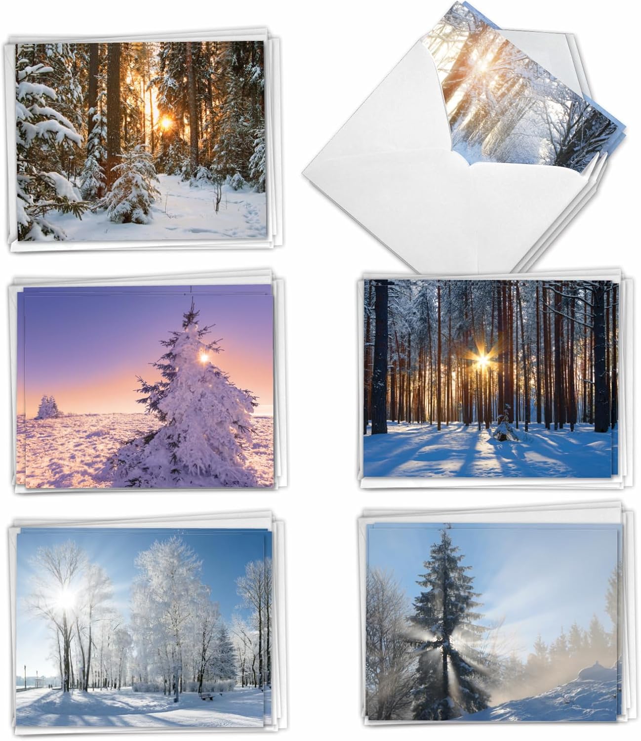 The Best Card Company - 36 Assorted Notecards Bulk Box Set 4 x 5.12 Inch with Envelopes for Men and Women, Mixed Pet Merry Christmas Variety Pack (18 Designs, 2 Each) - Holiday Cats AM7846XSG - B2x18