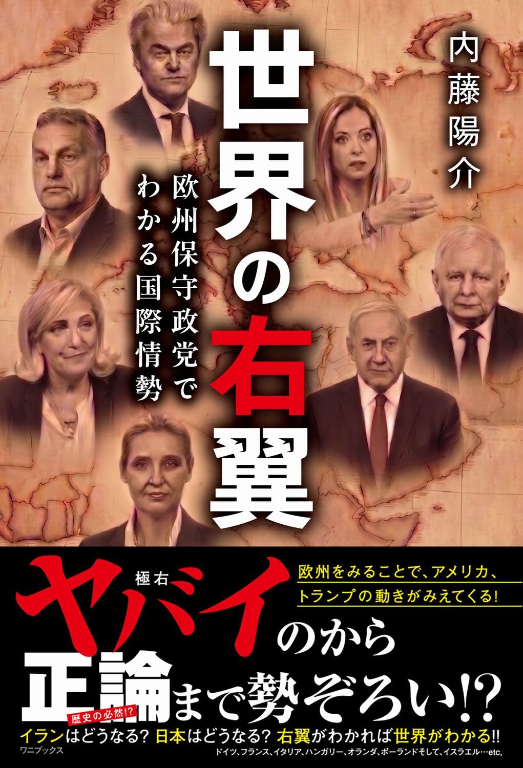 世界の右翼 - 欧州保守政党でわかる国際情勢 - | 内藤 陽介 |本 | 通販