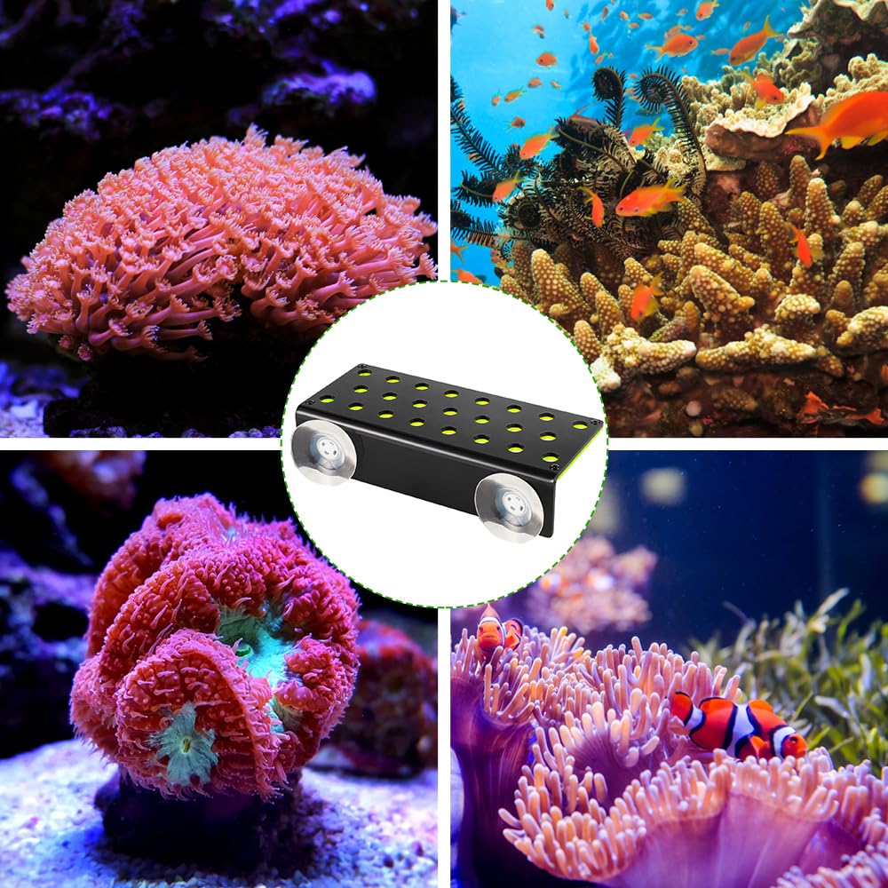 MiOYOOW Supporto per frammento di corallo, 23 fori in acrilico, corallo Frag Rack per acquario, con 2 ventose per acquari