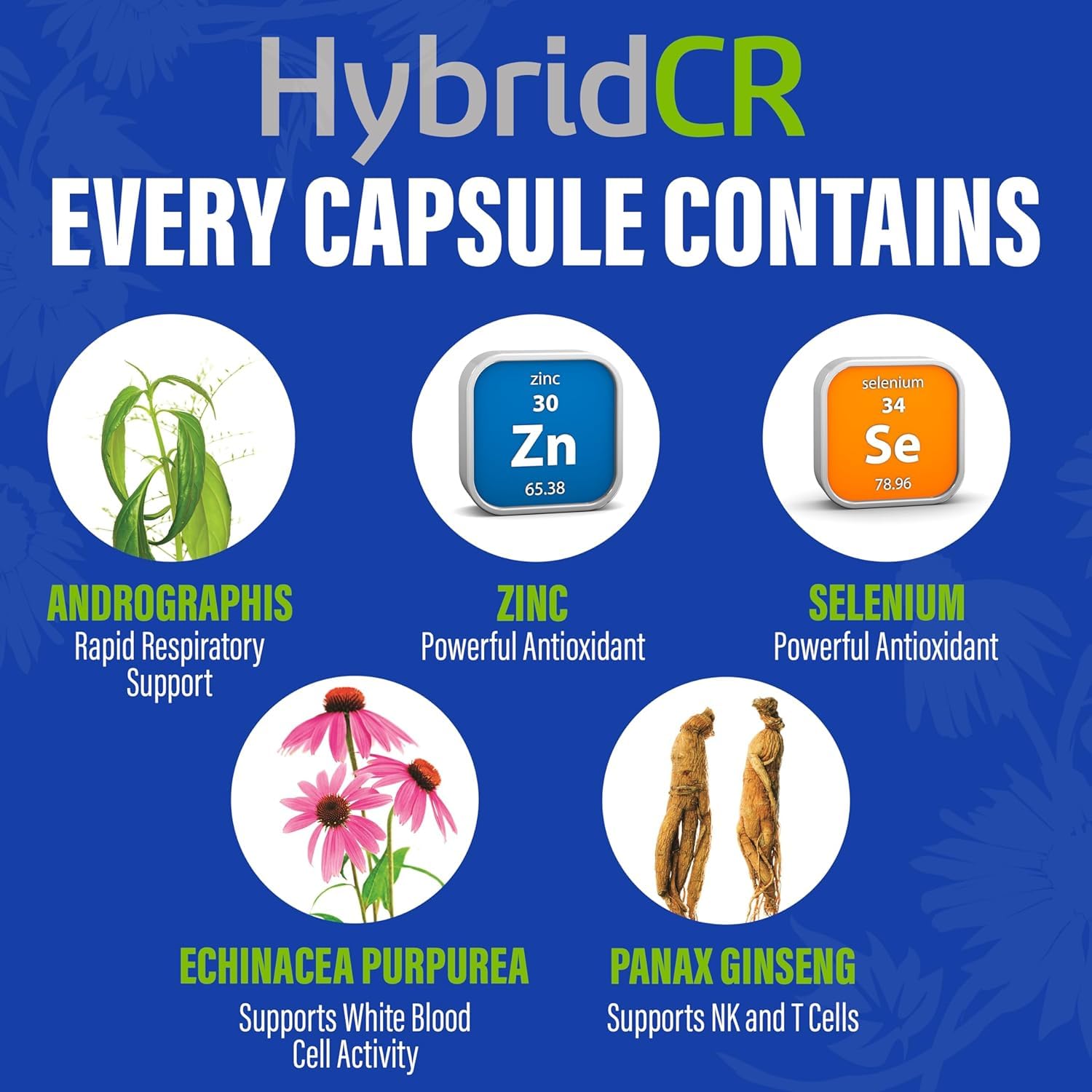 HybridCR Immune Support Supplement & Seasonal Defense for Adults, 12 Caps — Amazon image 4