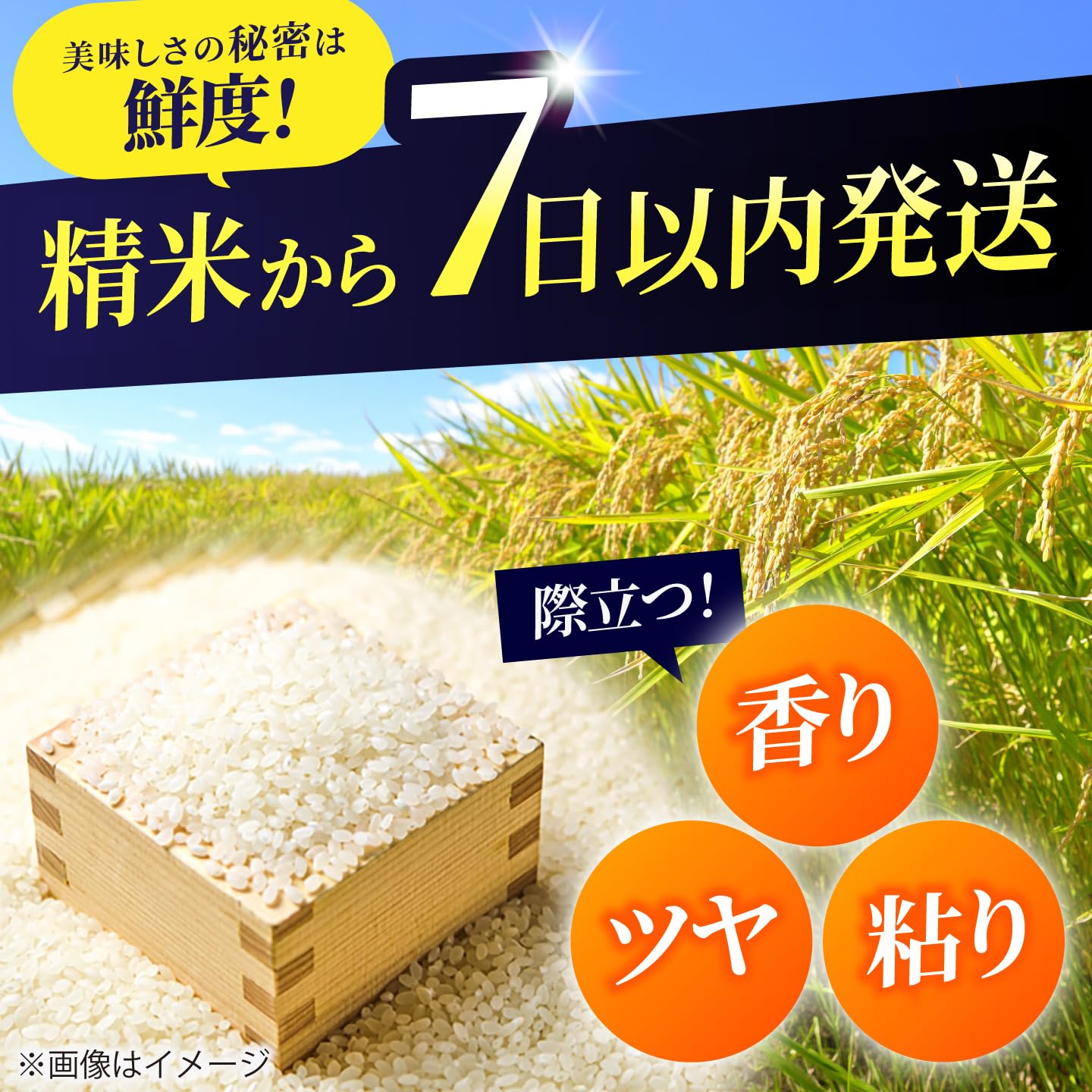 Amazon.co.jp: 令和7年産 北海道産 ゆめぴりか・ななつぼし 食べ比べ