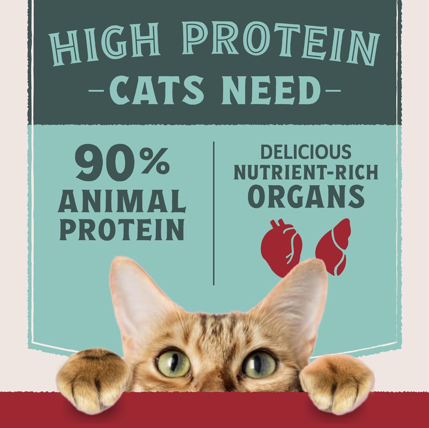 Natural Balance Ultra Protein Wet Cat Food Pate with Protein-Rich Organs for Cats, Variety Pack Recipes, Pate Cat Food with High Protein - 2.8oz. Case of 12