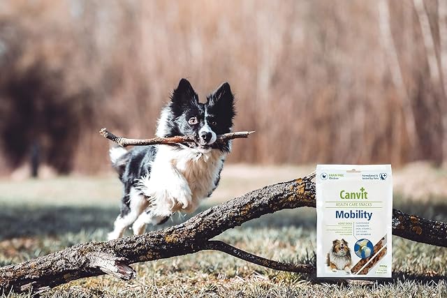 Foto 6 de 8 de Canvit Recompensa de movimiento saludable para perros, 200 g