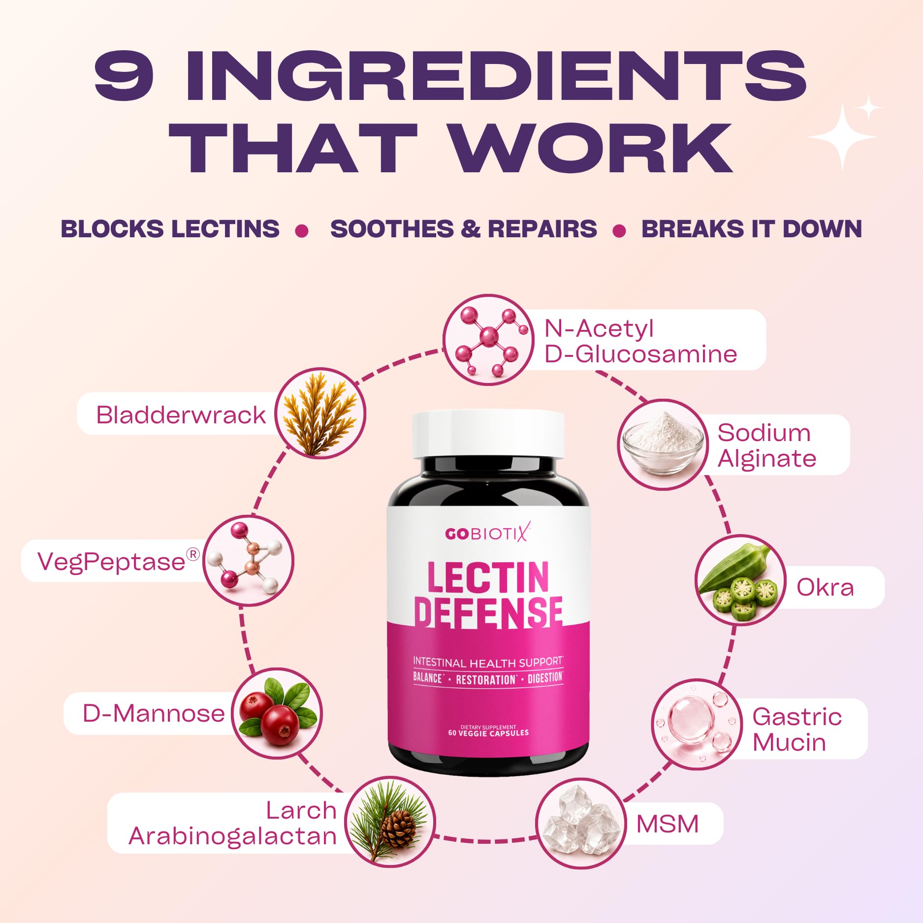 GOBIOTIX Lectin Defense - Lectin Blocker Supplement for Leaky Gut with MSM and Digestive Enzymes - Aids in Intestinal Health for Women and Men - Non-GMO + Gluten Free - 60 Capsules (2) — Amazon image 5