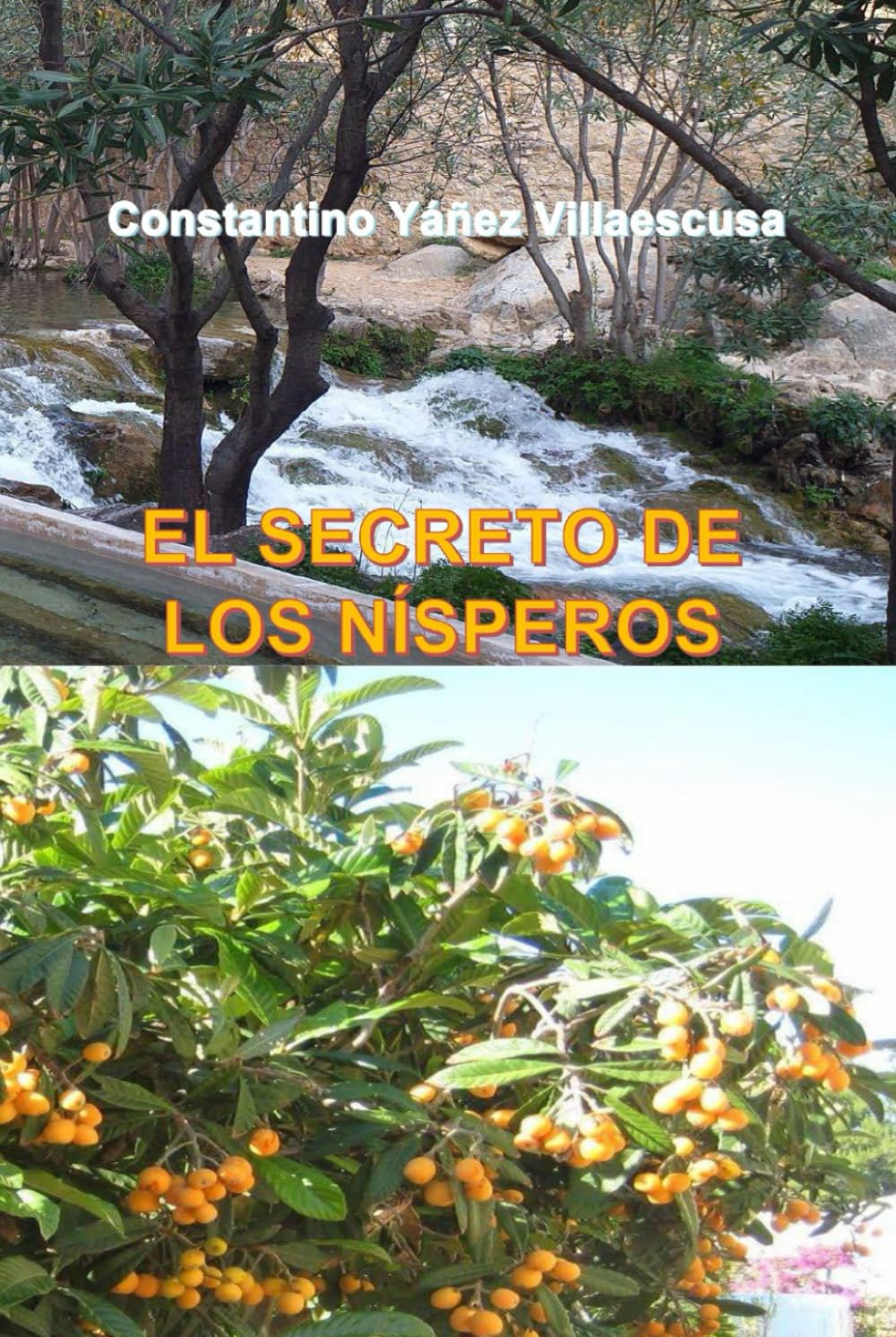 EL SECRETO DE LOS NÍSPEROS