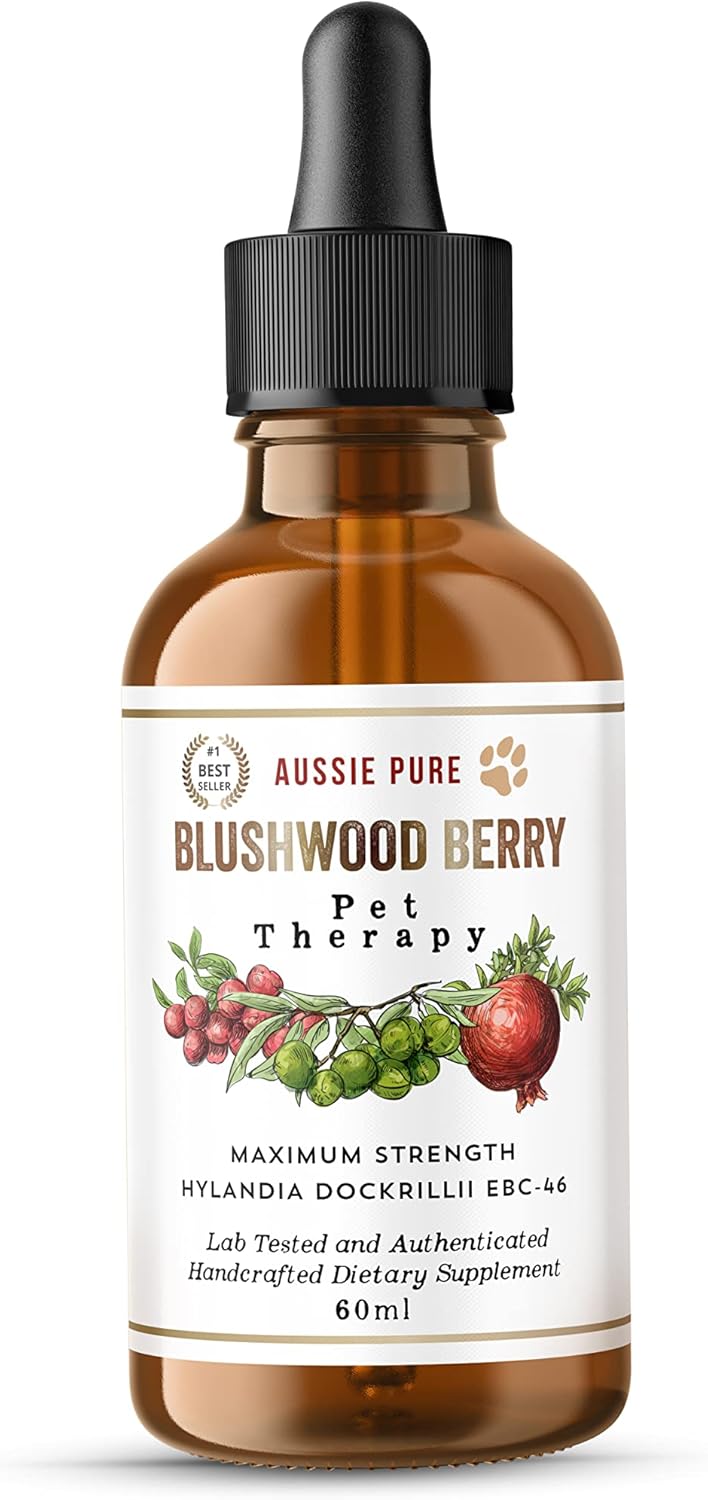Pet Therapy Blushwood Berry EBC-46 Tincture - 60ML - Maximum Strength - Lab Tested and Certified - Gentle, Oral and Topical Alcohol-Free Formula - Immune and Cell Support