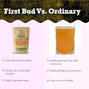 First Bud Organics Golden Spice Lakadong Turmeric Powder - 250gm x 10 | Organic Turmeric Powder & 7 to 12% High Curcumin Certified | Chemical Free Haldi Powder & Sourced From Jaintia Hills, Meghalaya gallery image