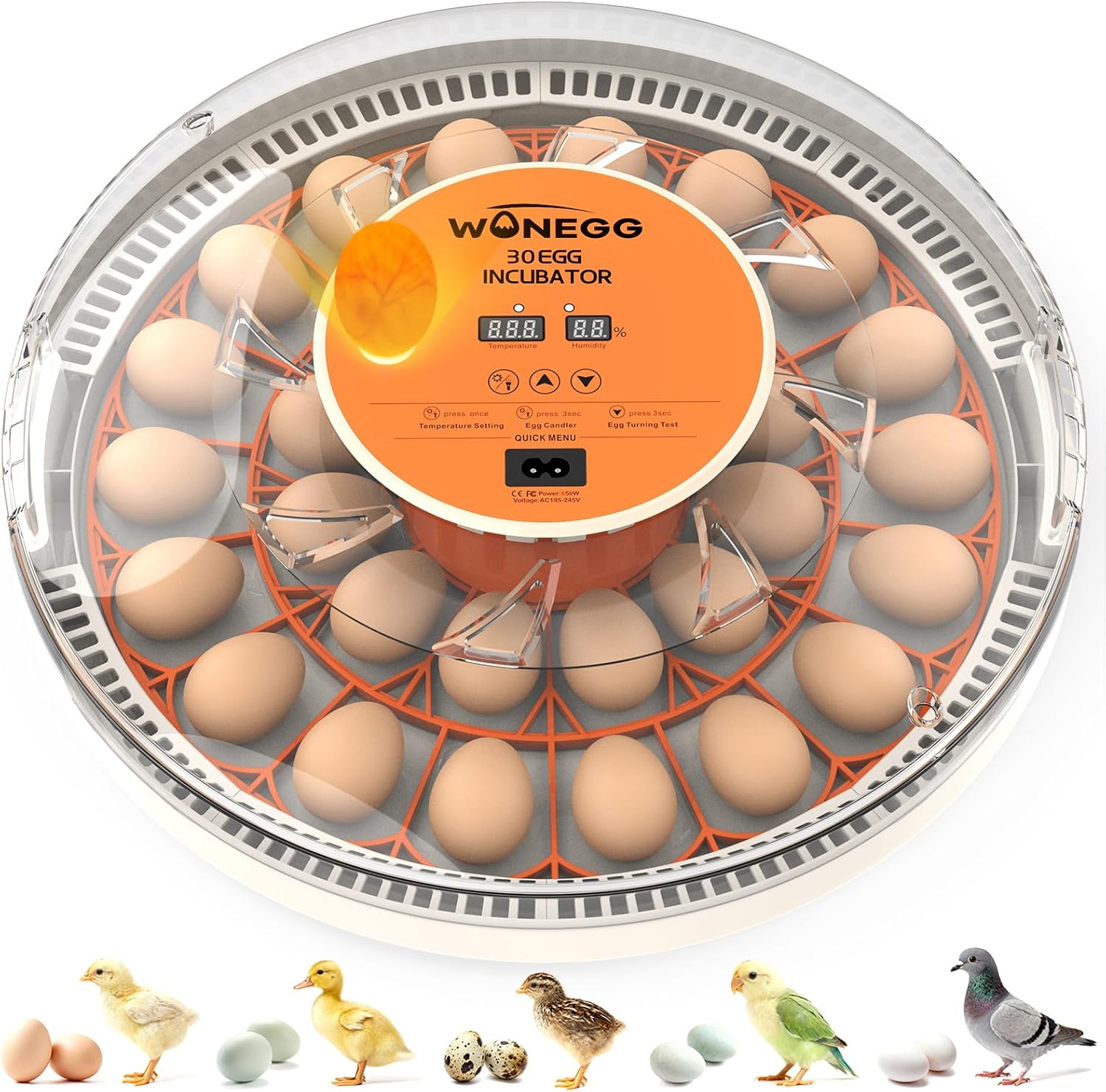 Incubator for Hatching Eggs, 30 Eggs Incubator with Automatic Egg Turning, Temperature Control & Humidity Display, LED Egg Candler, for Chicken, Quail, Parrot Eggs