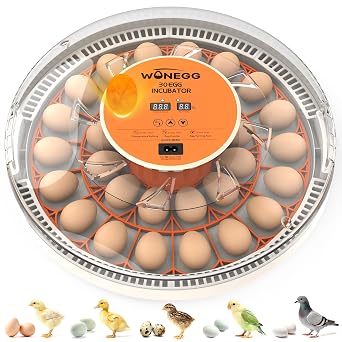30 Egg Incubator, Incubators for Hatching Eggs with Auto Egg Turner, Automatic Temperature Control, LED Candle Light, No-Opening Lid Water Refill, 360 View for Chicken Quail Parrot Birds Eggs