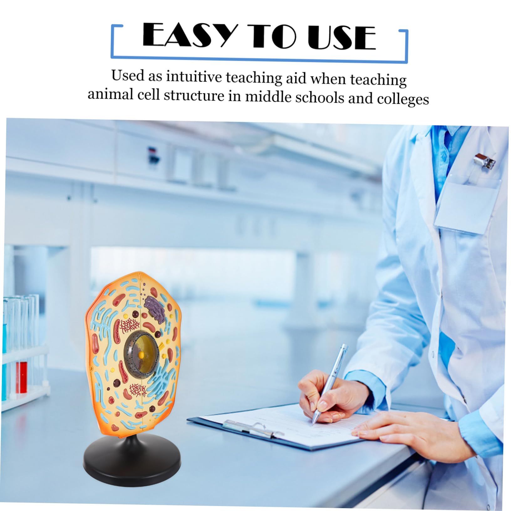 LRXIYODE Tierzellenmodell 47cm - Anatomisches Lehrmodell Für Biologieunterricht & Schulen