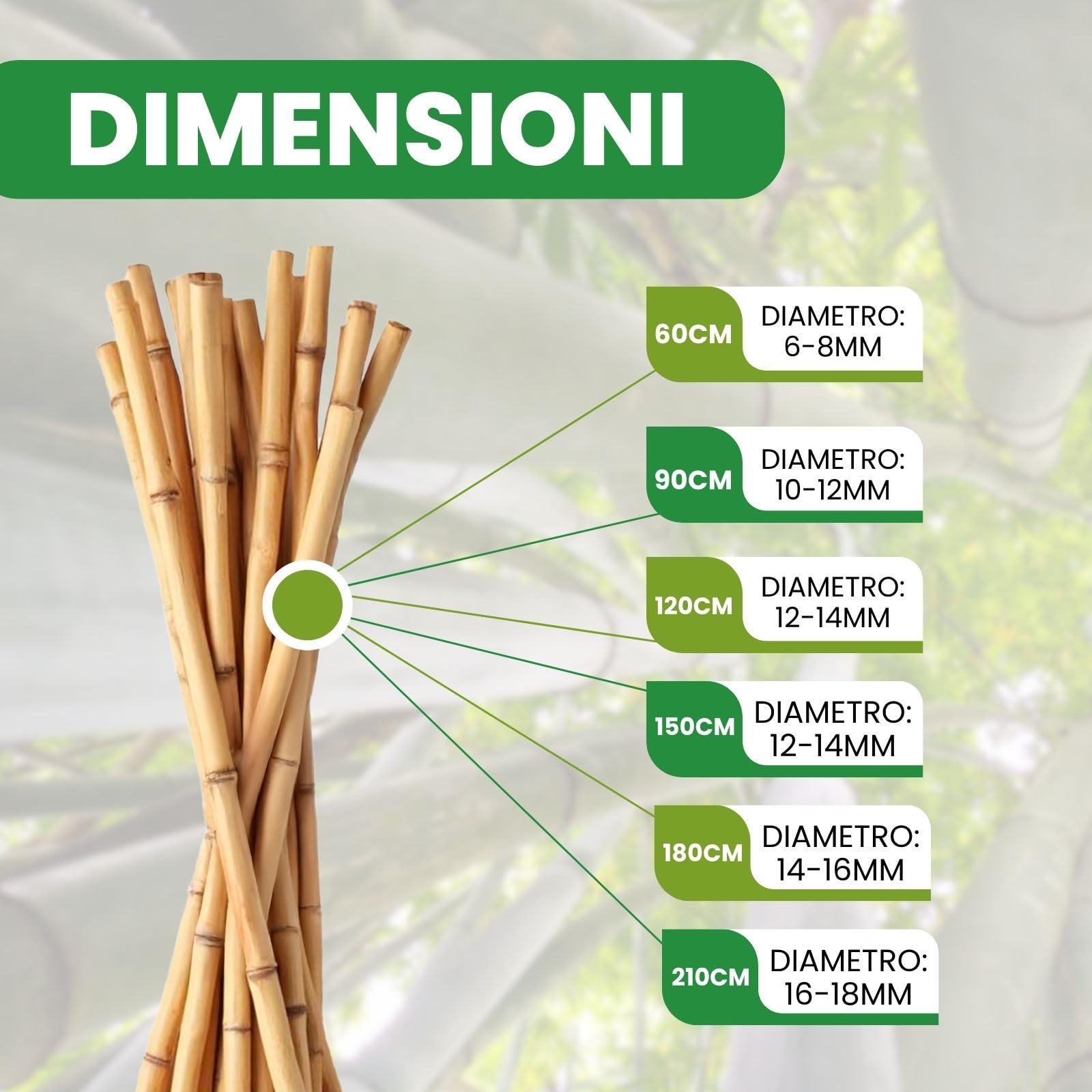 Bastoncini di bambù per l'agricoltura bastoncini di bambù grezzi per la semina d