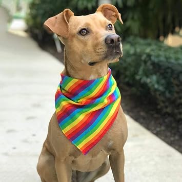 Tinsow 2 Pack Gay Pride Rainbow Bandanas Cotton Handkerchiefs Party Supply Pet Bandana