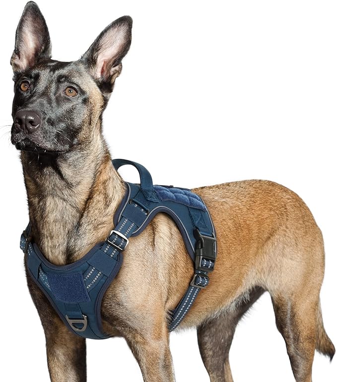 Harnais Chien Réglable Réfléchissant - Sans Traction, Poignée Pour Laisse - Polyester Néoprène