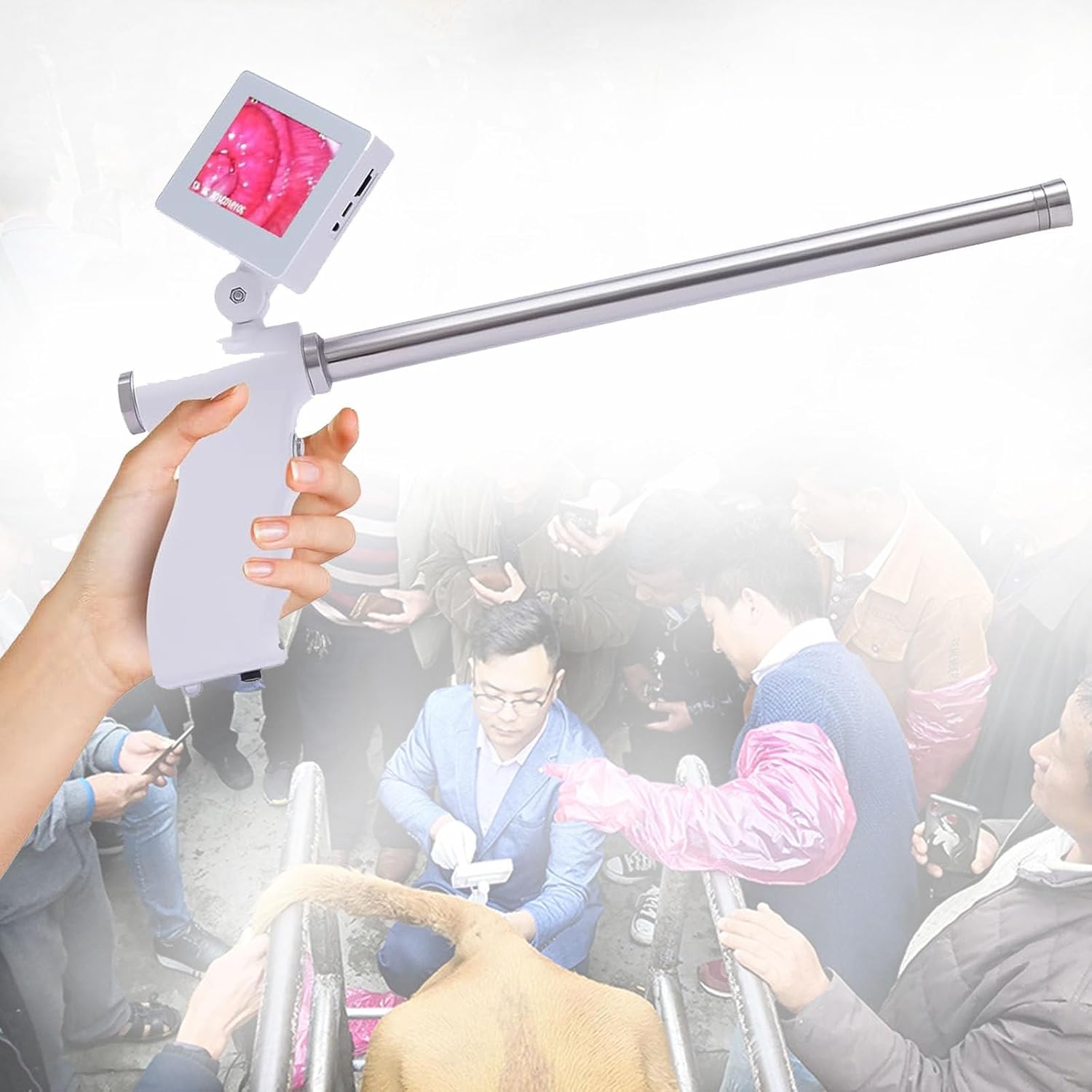 Amazon.com : lwjunmm Modern Artificial Insemination AI Gun Adjustable ...