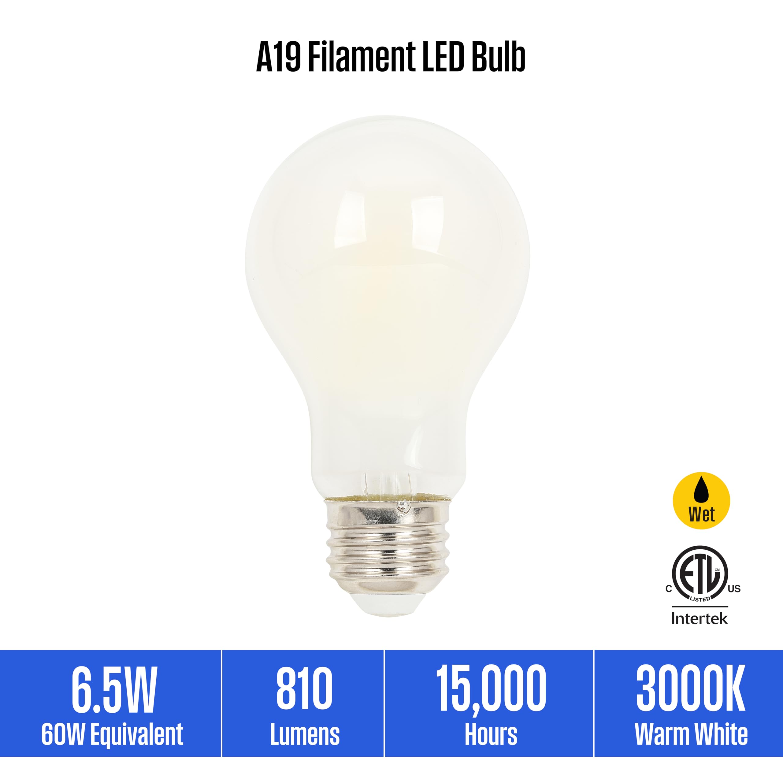 Westinghouse Lighting 5326000 6 5 Watt 60 Watt Equivalent A19 Dimmable Soft White Filament LED Light Bulb Medium — view 4