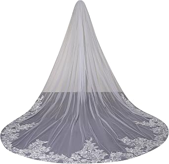 Wedding Veils Cathedral Length Ivory 1 Tier Floral Lace Edge with Comb