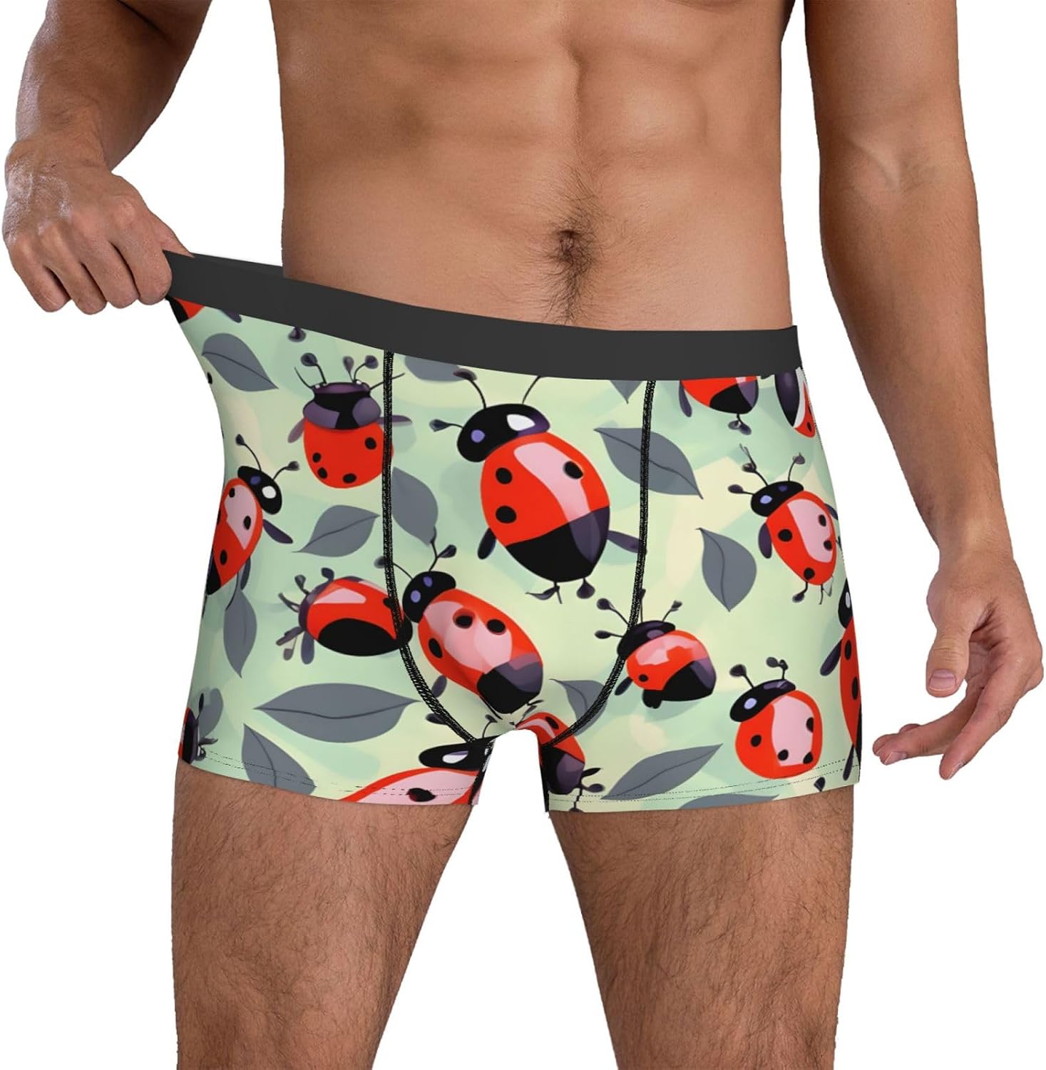 Funny Novelty Boxer Briefs Underwear for Men-Unique Humorous Design Boxer Shorts Ladybugs Cartoon Pattern Print