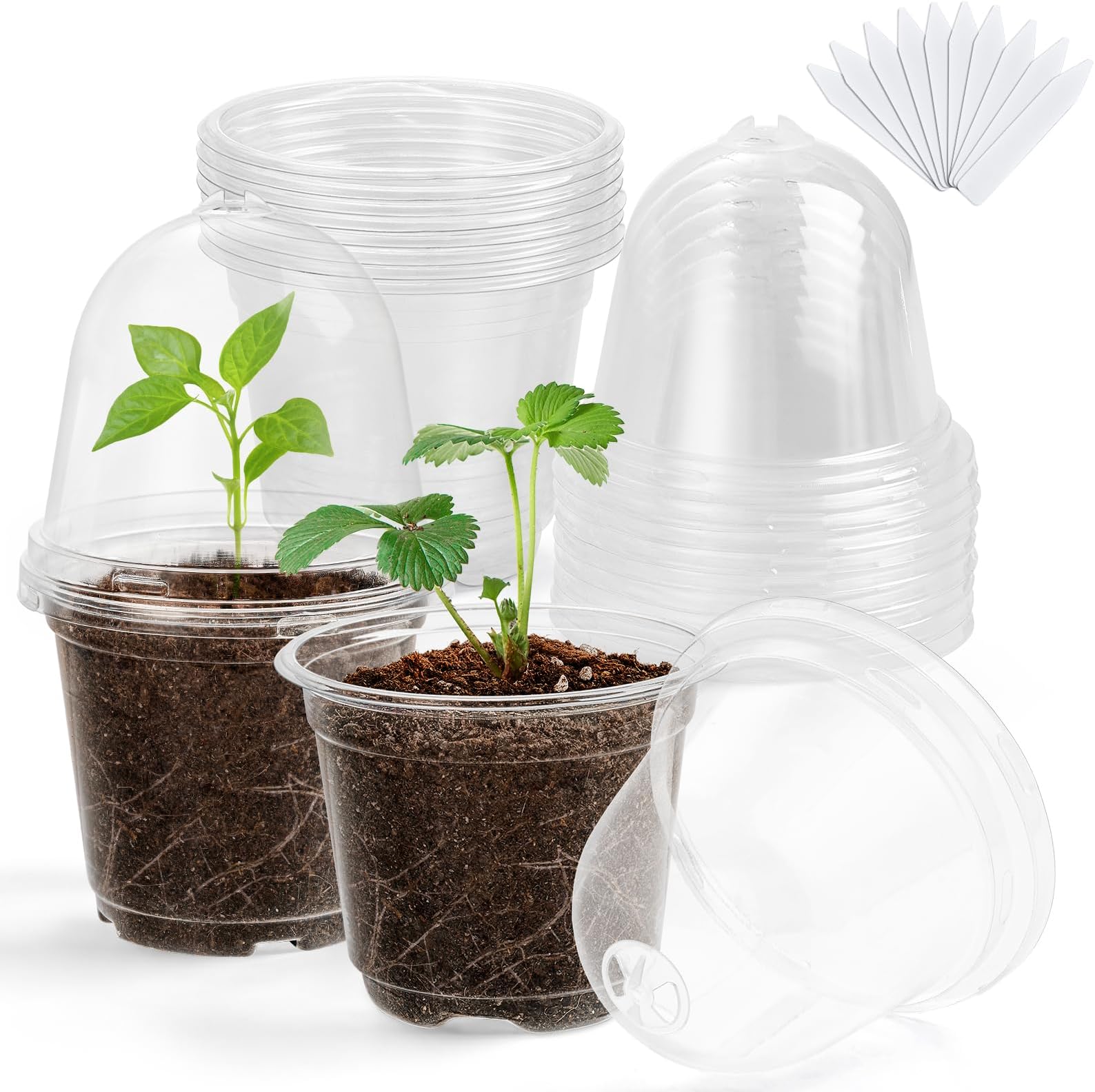 96 Packs Clear Plant Pot Container 3.5/4/5 Inch Transparent
