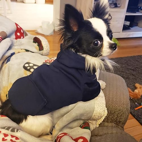 Miniatura 10 de Jecikelon - Sudadera con capucha y bolsillos, cálida para invierno, para perros pequeños, ropa de abrigo para chihuahuas, disfraz para cachorros