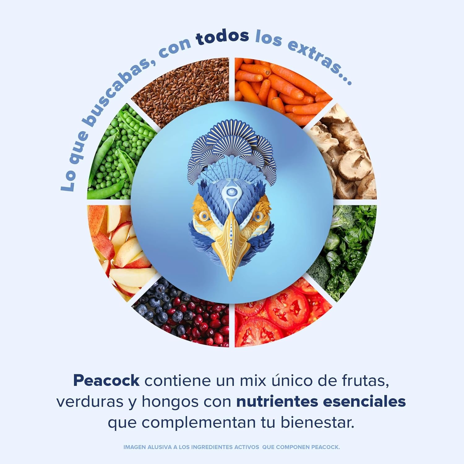 BIRDMAN Peacock Proteína Vegana Todo en Uno | 11 Vitaminas | Omega 3 | Fibra | Enzimas Digestivas | Adaptógenos | MCT Oil | Superalimentos | Zinc | Sin Gluten | Coco Vainilla |...